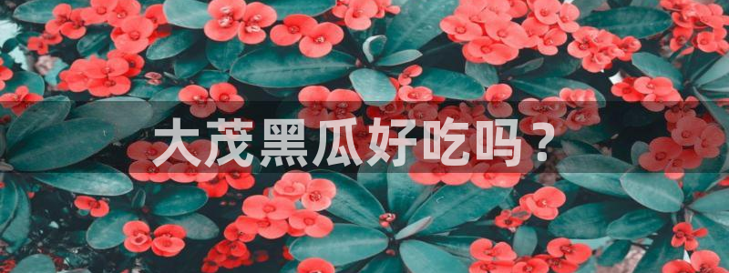 51吃瓜网今日必吃大瓜:大茂黑瓜好吃吗?