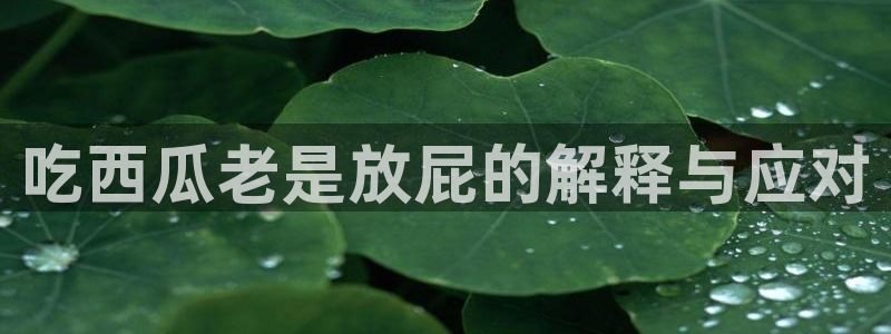 黑料专区:吃西瓜老是放屁的解释与应对