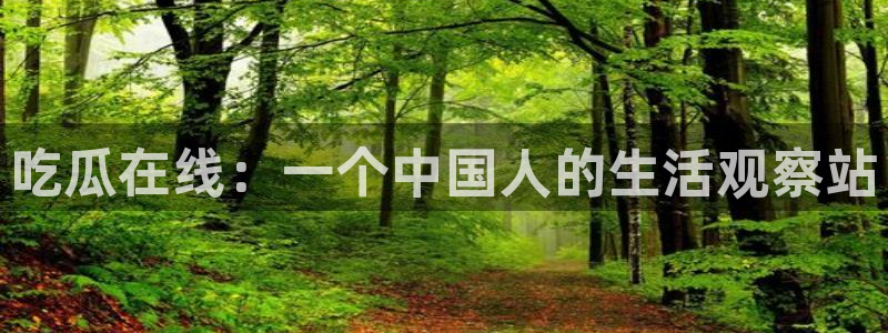 吃瓜不打烊–吃瓜,不打烊:吃瓜在线:一个中国人的生活观察站