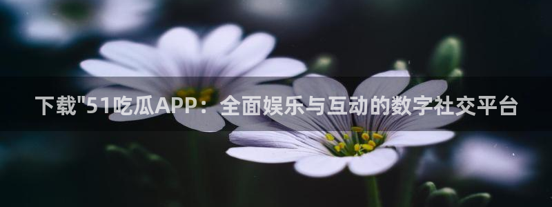 黑料下载:下载\