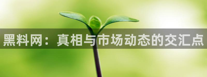 高血糖可以吃茄瓜吗:黑料网:真相与市场动态的交汇点